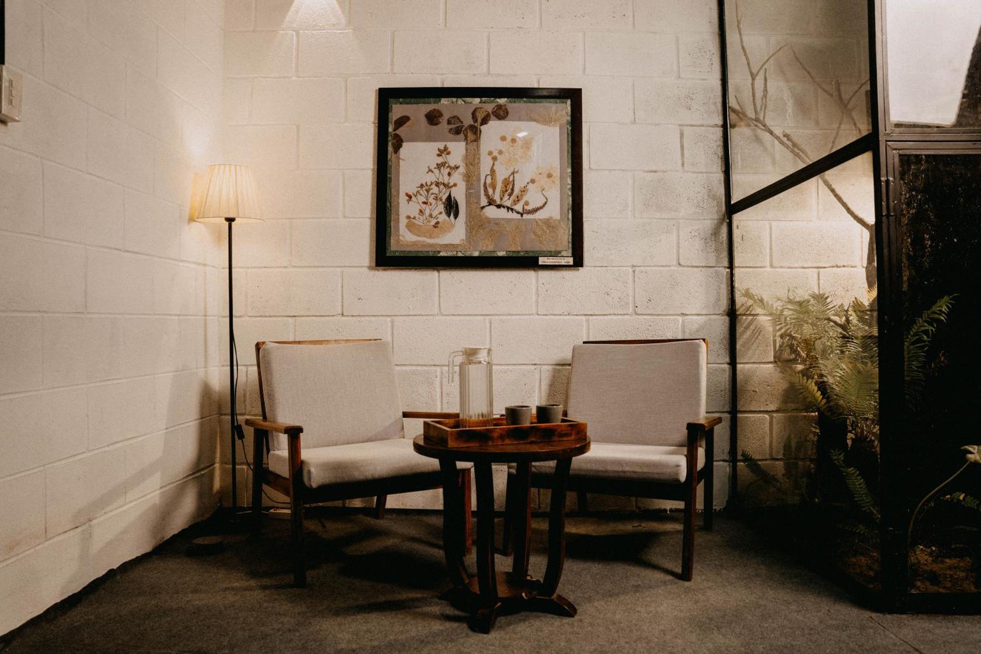 Harmony Garden - Home And Coffee 후에 외부 사진