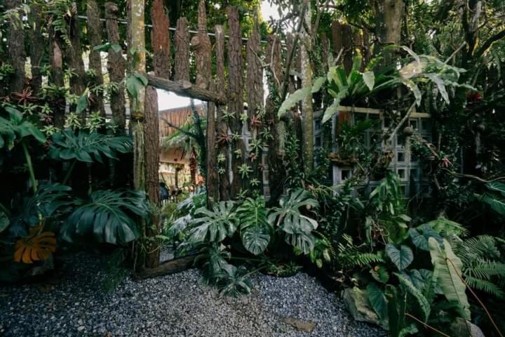 Harmony Garden - Home And Coffee 후에 외부 사진